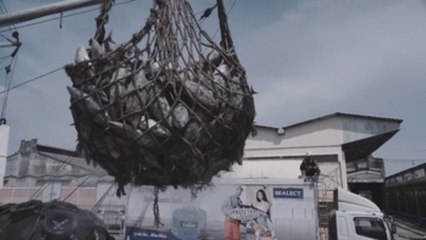 Países confían en controlar puertos para cerrar el mercado al pescado ilegal