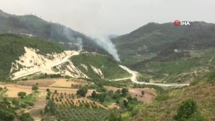 Sınırın sıfır noktasında orman yangını