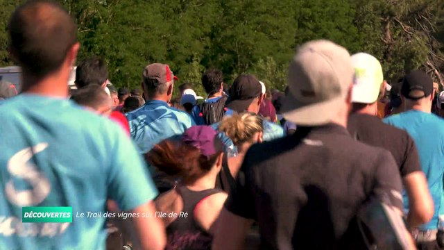 Découvertes - Trail des vignes