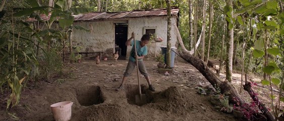 Trailer :: Tierra mojada