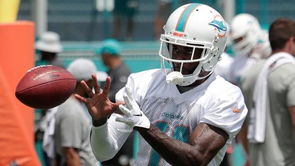 Pelissero highlights Dolphins veteran who's flashed major potential at minicamp