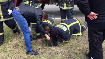 Saving a Puppy Stuck in a Sewer