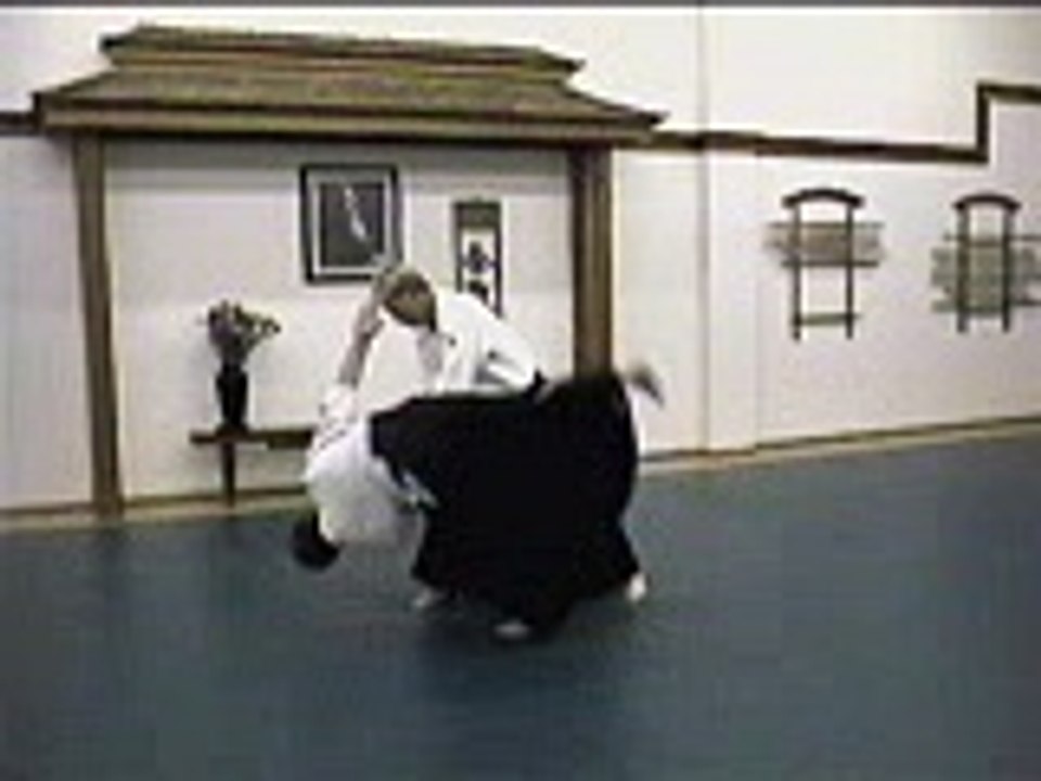 Aikido_2