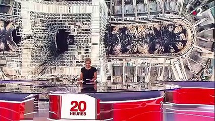 Notre-Dame : y aura-t-il assez de pierres pour reconstruire ?