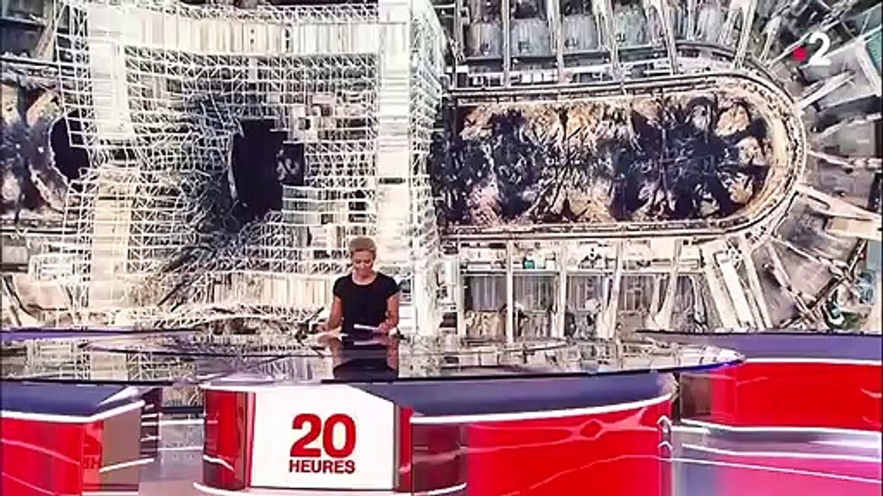 Notre-Dame : y aura-t-il assez de pierres pour reconstruire ?