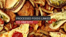 Processed Foods Linked To Obesity