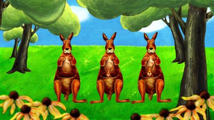 Learning ABC - K is for Kite & Kangaroo - Lower Case Alphabet "k"
