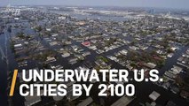 These Five US Cities Will Likely Be Underwater by 2100: Report