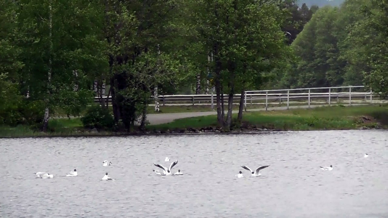 May 27 2019 F