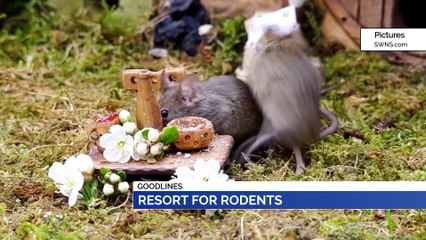 GOODLINES: 8th June 2019