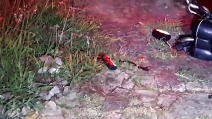 Homem é baleado no Bairro Neva; Atiradores fugiram e abandonaram arma, moto e celular