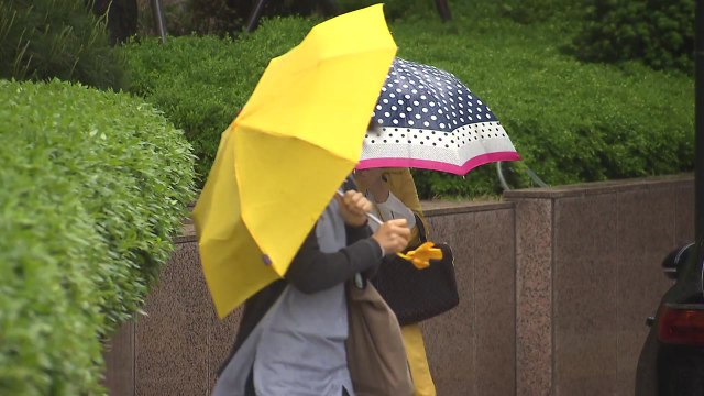 [날씨] 폭염이 부른 비바람...태풍급 저기압 접근 / YTN