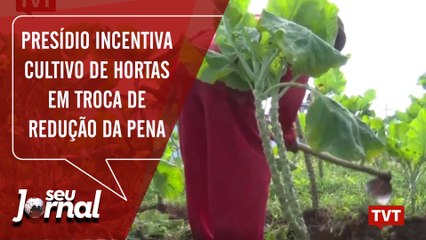 Presídio de Andradas incentiva cultivo de hortas em troca de redução da pena