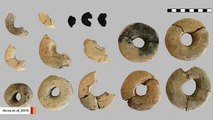 3,000-Year-Old Cheerios? Archaeologists Find Ring-Shaped Product In Austria