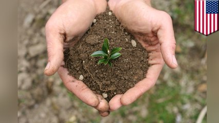 Experts say Planet Earth is quickly losing its topsoil layer