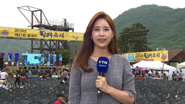 [날씨] 징검다리 연휴 시작...황태 축제 즐겨요 / YTN