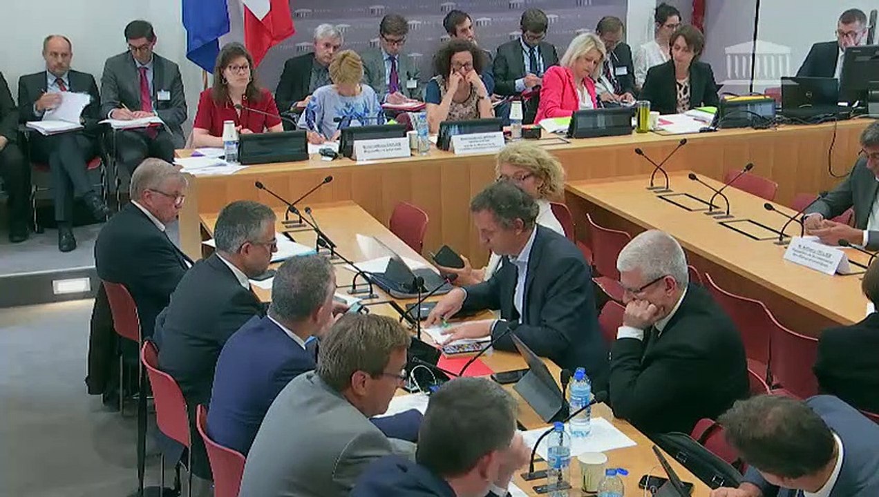 Commission du développement durable : Projet de loi relatif à l’énergie et au climat  - Mercredi 5 juin 2019