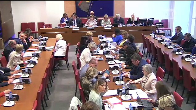 Commission des affaires sociales : Mme Marie-France Bellin, pdte du conseil d’administration et M. Jean-Christophe Niel, dg de l’Institut de radioprotection et de sûreté nucléaire (IRSN) - Mercredi 5 juin 2019