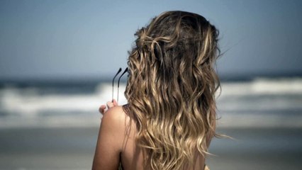 Pexels Videos 1