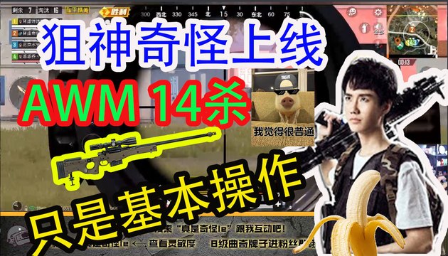奇怪君刺激战场：肾虚奇怪来上分，14杀AWM主宰比赛Pubg MobileGame For Peace