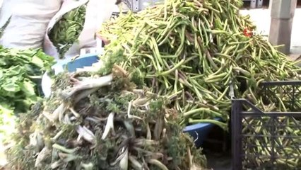 Bilinçsizce toplanan bitkiler yok olma tehlikesi altında