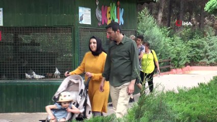 Bayram tatilinde Gaziantep Hayvanat Bahçesi’ne yoğun ilgi