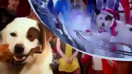 Dog With A Blog S02E16 - Love, Loss and a Beanbag Toss