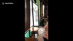 Coffee shop customers stunned as powerful storm smashes glass door in Thailand