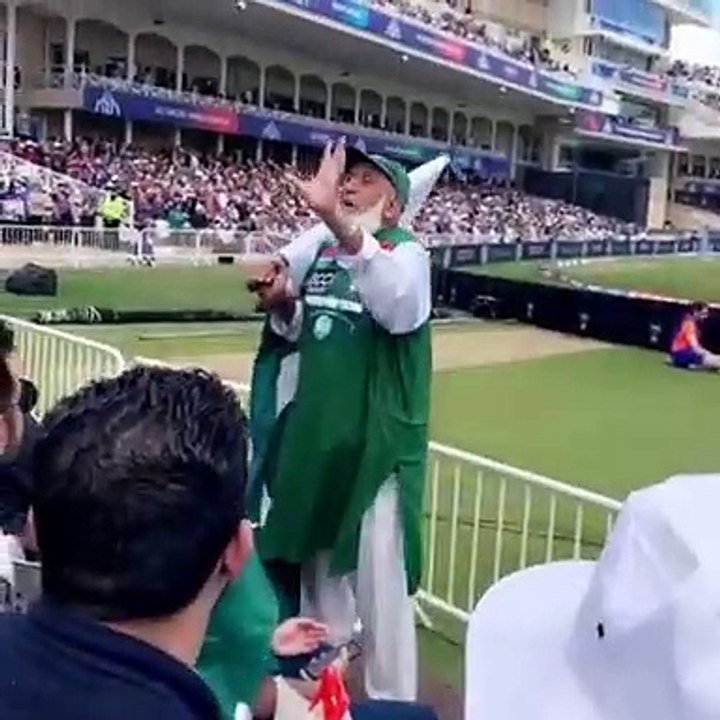Chacha Cricket