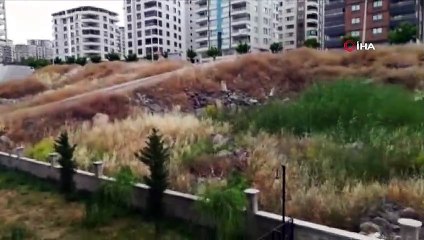 Şanlıurfa'da korkutan anız yangını