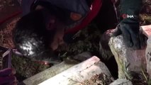 Beton borunun içine sıkışan köpeği itfaiye ekipleri kurtardı