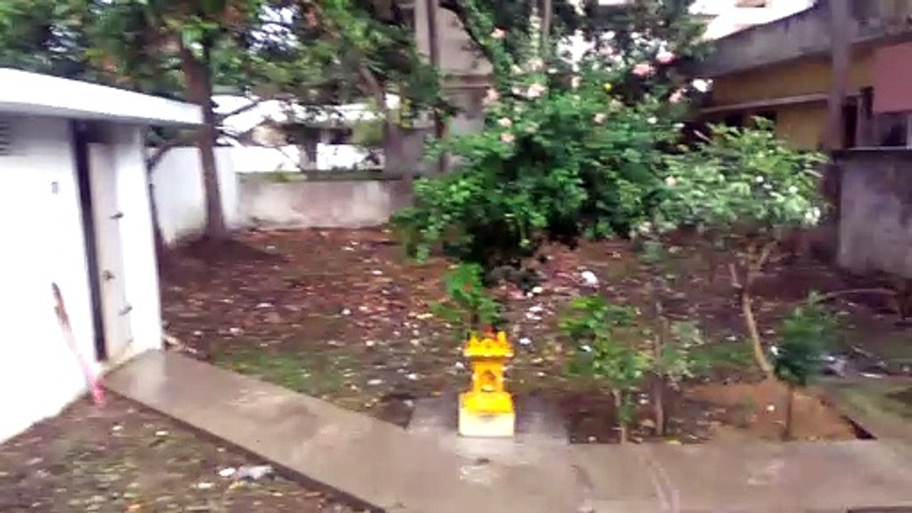 Rainy day