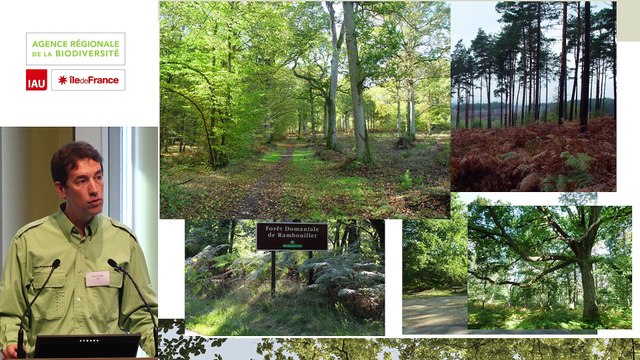 4 - Laurent TILLON - Rencontre technique Continuités écologiques et forêts 2019