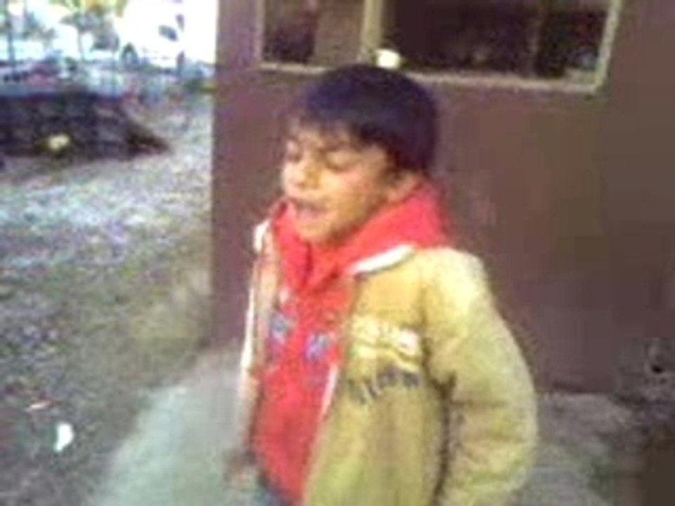 nino d'avignon1