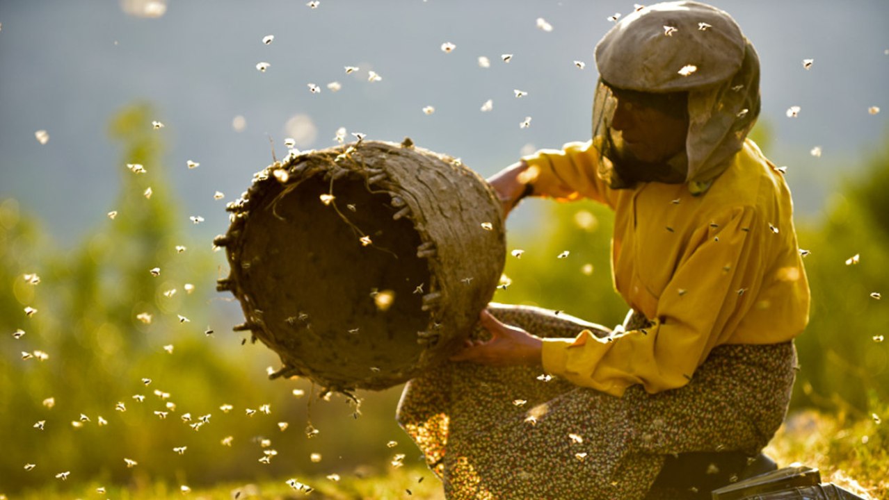 Honeyland Trailer - Documentary