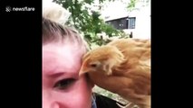 Chicken shocks owner by pecking her eye at Virginia home