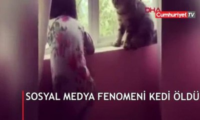 Sosyal medya fenomeninin feci ölümü