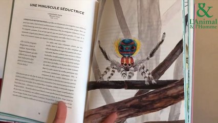 Interview 2 de Emmanuelle Pouydebat : La poésie des animaux qui nous font peur