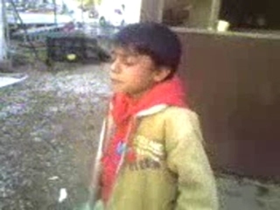 nino d'avignon2