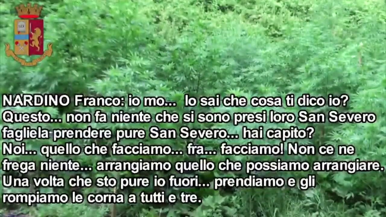 NUMEROSI ARRESTI IN TUTTA ITALIA. OLTRE 200 AGENTI DI POLIZIA DI STATO IMPEGNATI NEL BLITZ