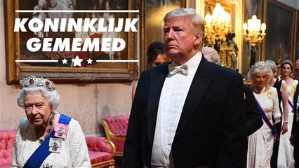 Een meme van een reis