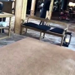 Quand un écureuil réserve une entrée mémorable à tout les invités. Trop drôle !