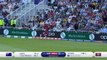 Cottrell's unbelievable one handed catch dismisses Smith