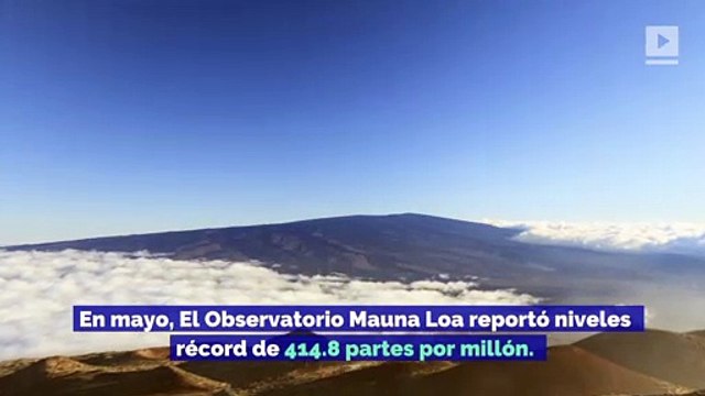 Los niveles actuales de CO2 del planeta son los más altos en millones de años