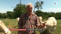 Suicides : les agriculteurs du Gers n'en peuvent plus