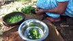 Sain Village Aliments  Cuisine Radis Curry dans mon Village par la grand-mère
