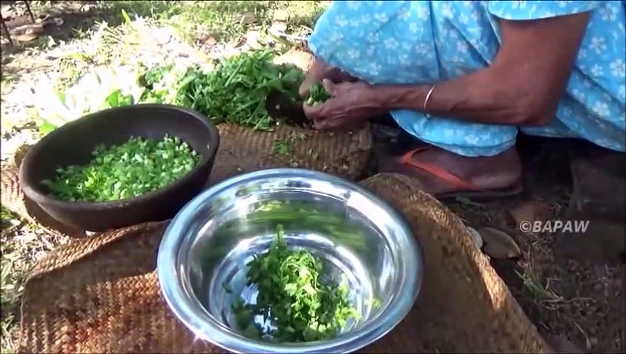 Sain Village Aliments  Cuisine Radis Curry dans mon Village par la grand-mère