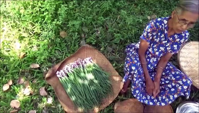 Village de la Nourriture Oignons sautés Recette de grand-mère