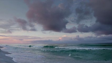 The Best Beaches in Florida