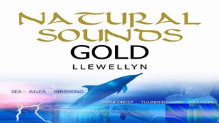 Natural Sounds Compilation: Dolphins & Whales, Rainforest, Thunderstorm, Moonlit Forest, Cave, Windchimes, Waterfall, Gentle River